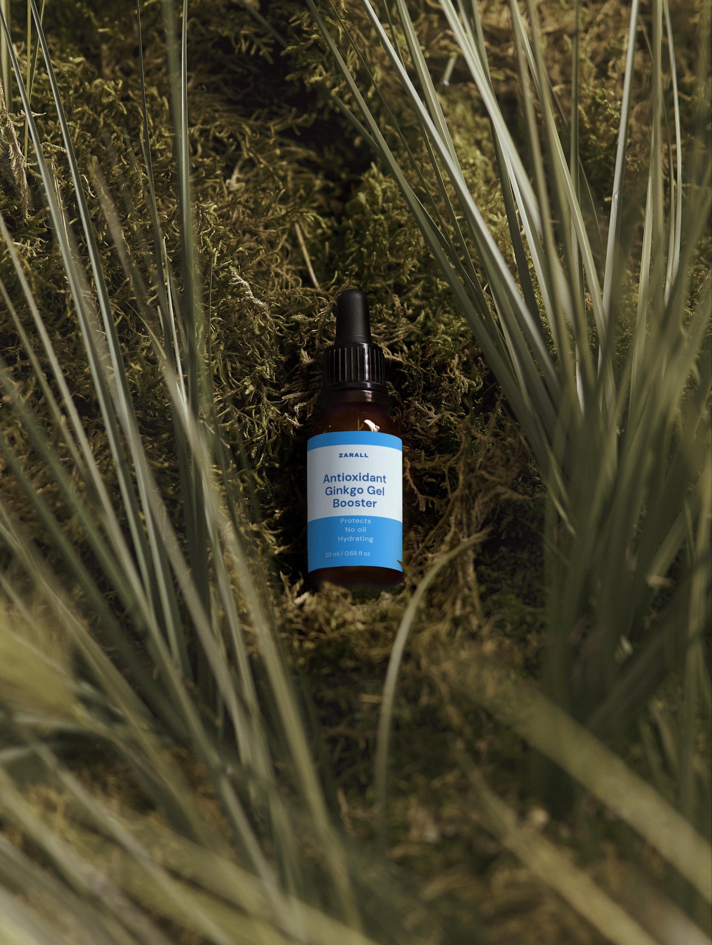 Antioxidant Ginkgo Gel Booster