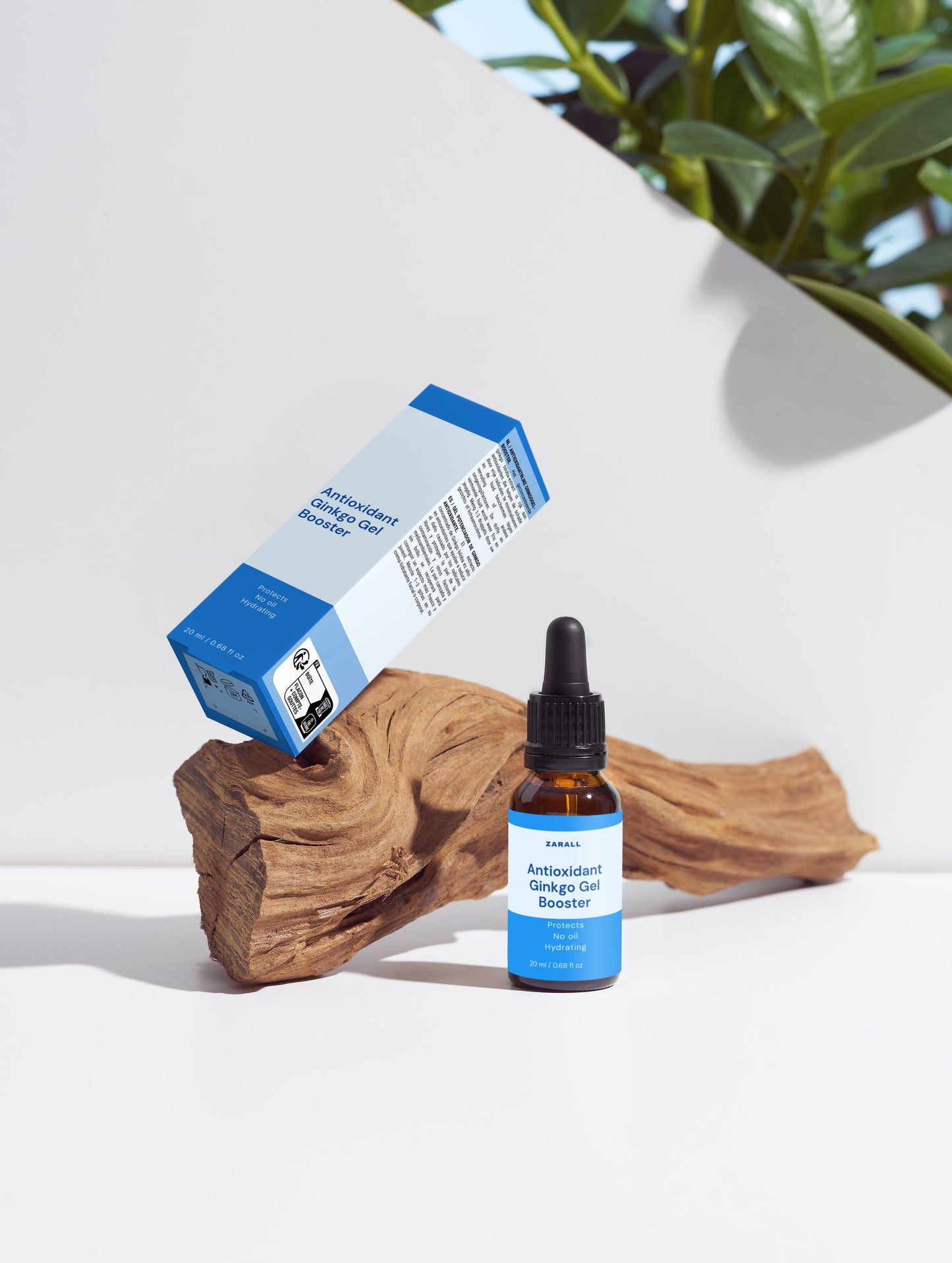 Antioxidant Ginkgo Gel Booster